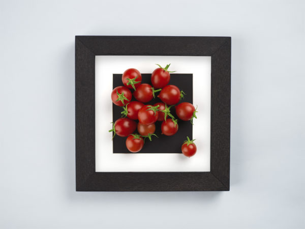 tomato frame