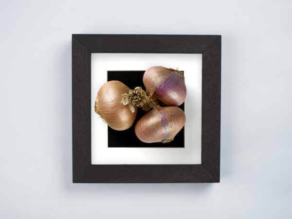 onion frame